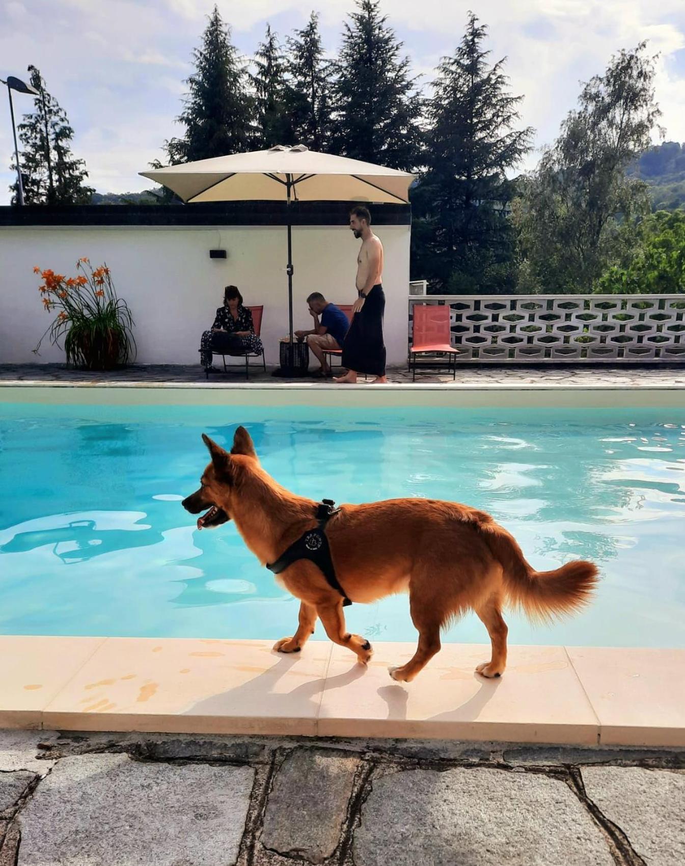 Casamargo Daire Castellamonte Dış mekan fotoğraf