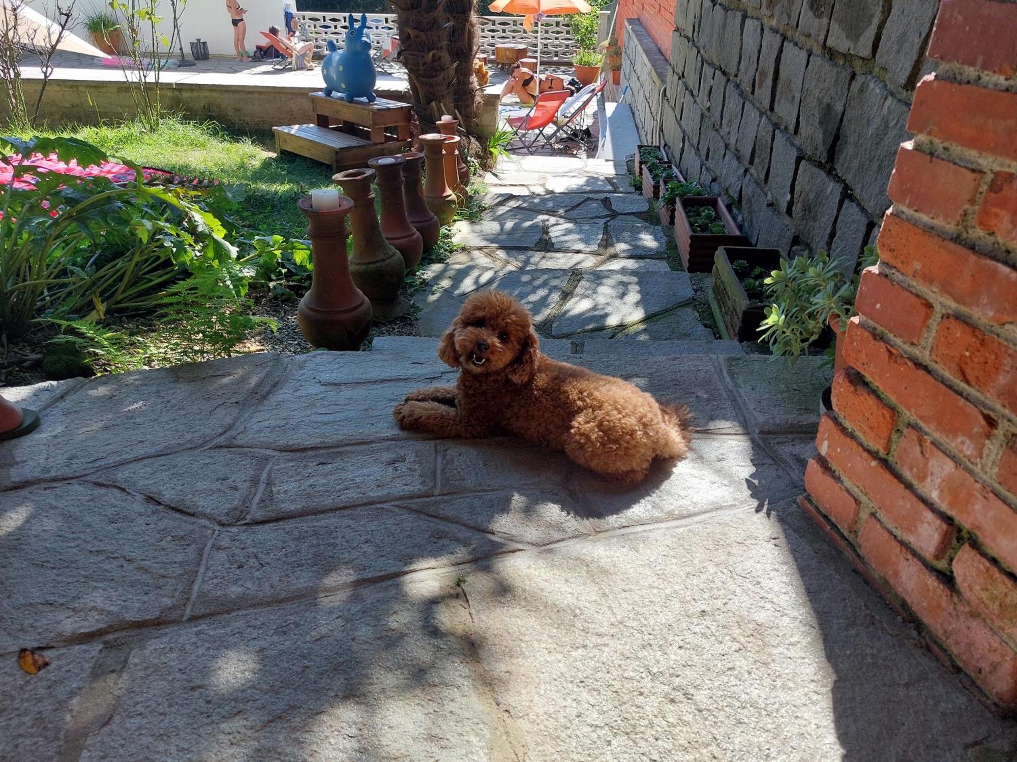 Casamargo Daire Castellamonte Dış mekan fotoğraf